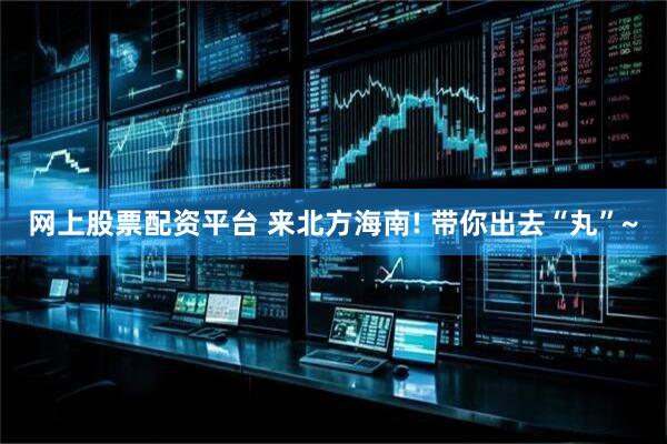 网上股票配资平台 来北方海南! 带你出去“丸”~