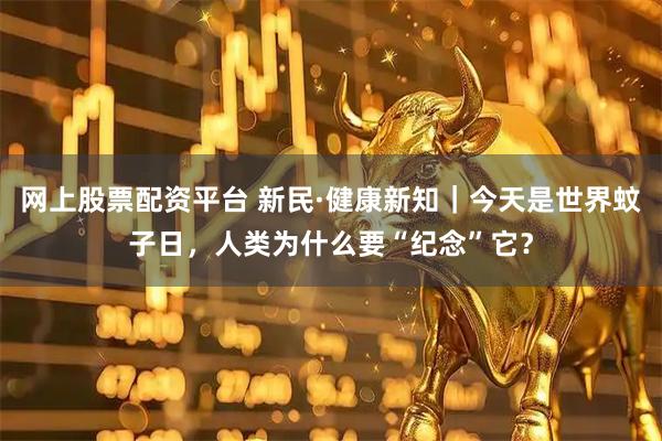 网上股票配资平台 新民·健康新知｜今天是世界蚊子日，人类为什么要“纪念”它？