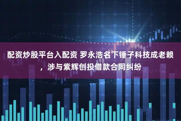 配资炒股平台入配资 罗永浩名下锤子科技成老赖，涉与紫辉创投借款合同纠纷